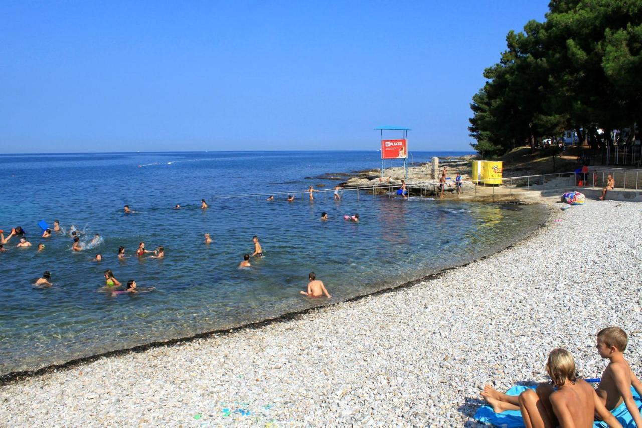 Apartament Family Friendly With A Swimming Pool Basanija, Umag - 3402 *